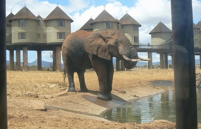 8-days-elephant-trails-safari