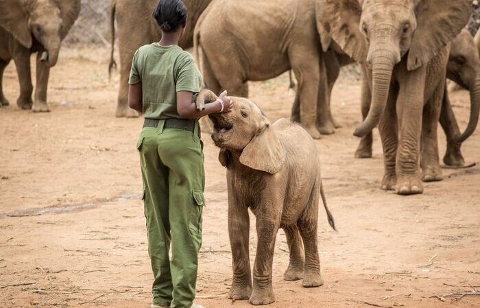7-days-meru-samburu-and-reteti-conservation-safari