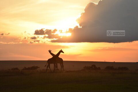 5-days-tanzania-classic