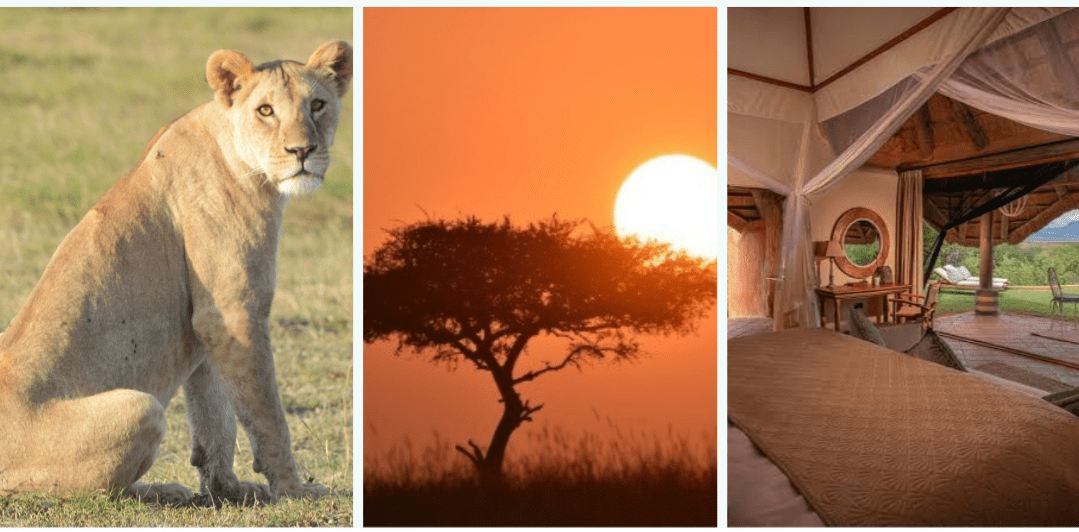 5 Reasons To Visit East Africa Arrow Adventures Kenya 5-reasons-to-visit-east-africa-arrow-adventures-kenya