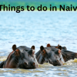 fun-things-to-do-in-naivasha