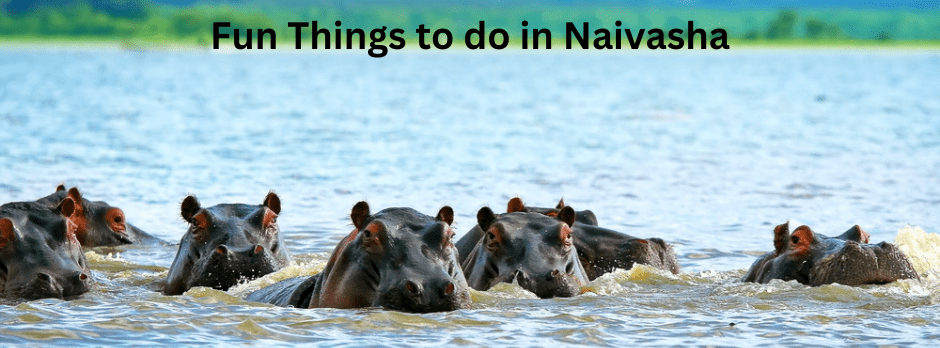 fun-things-to-do-in-naivasha