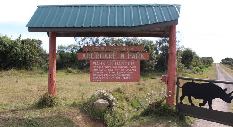 aberdare-national-park