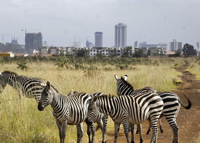 epic-places-to-visit-in-nairobi