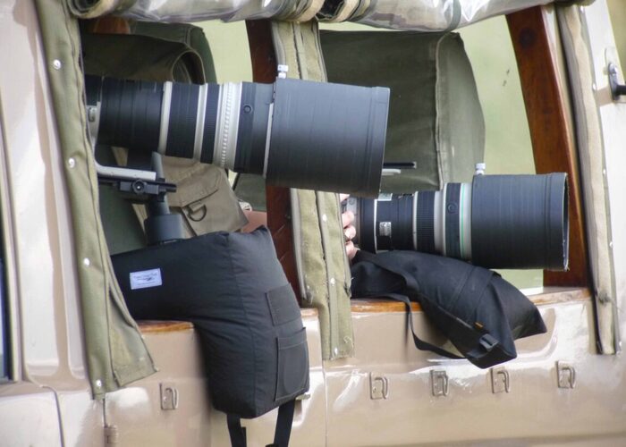 wildlife-photography-safaris