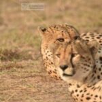 Top-Reiseziele in Kenia