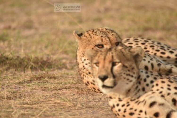 Startseite Top-Reiseziele in Kenia