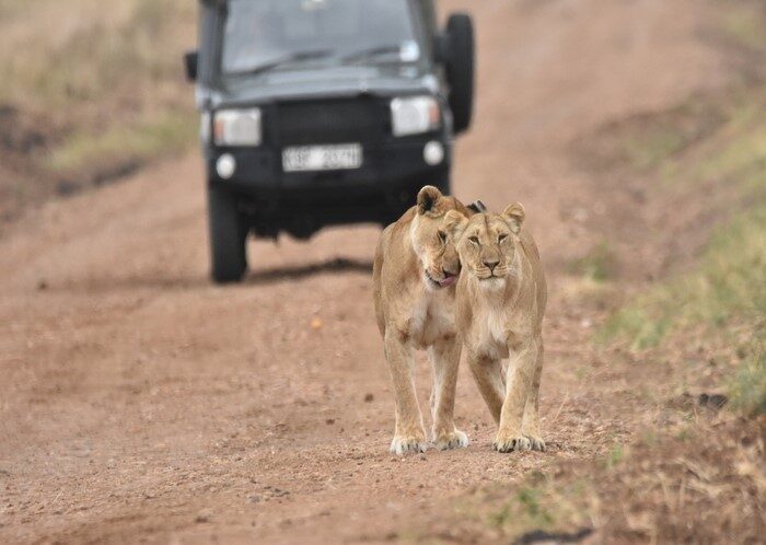 safaris-from-nairobi