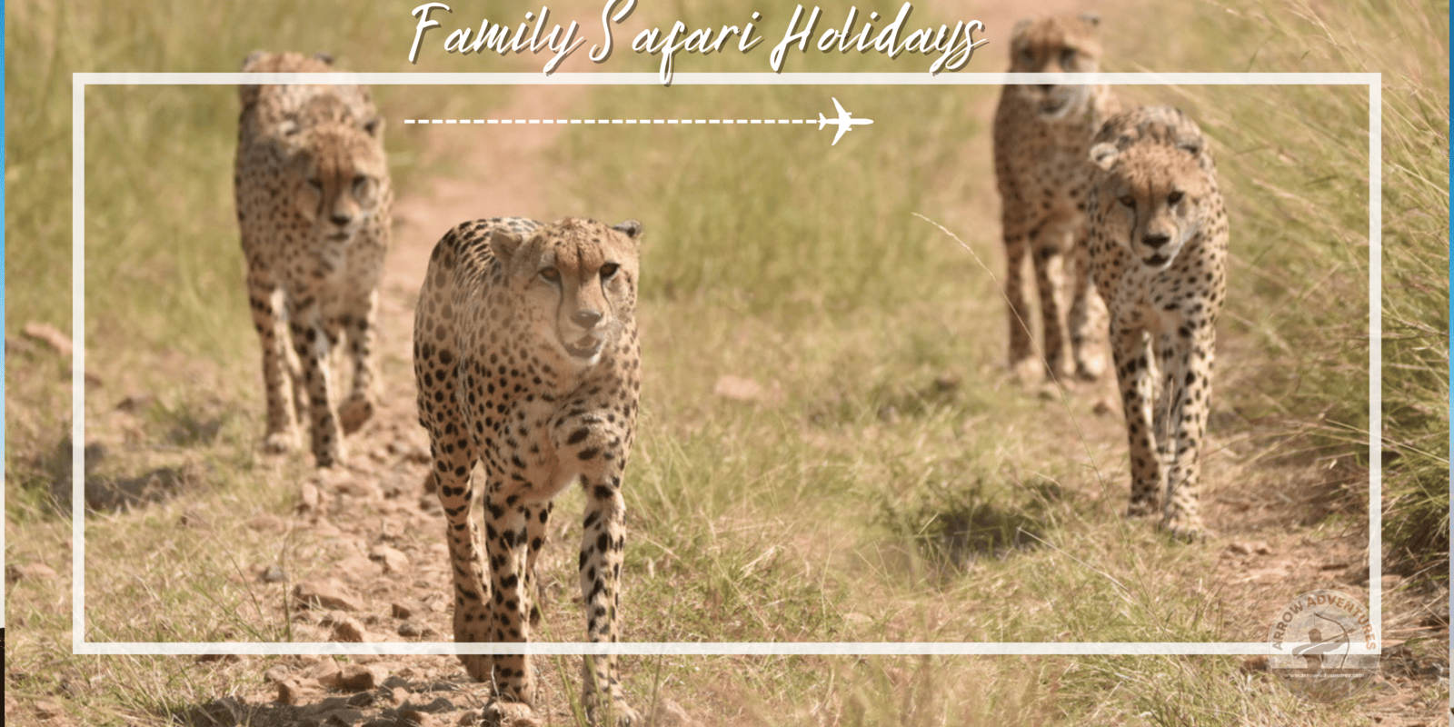 Planung eines perfekten Familien-Safariurlaubs in Kenia Planung eines perfekten Familien-Safari-Urlaubs