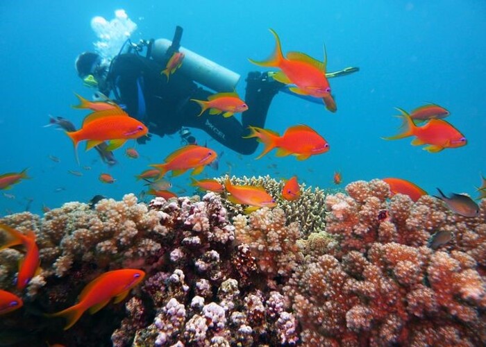 snorkelling-in-kisite