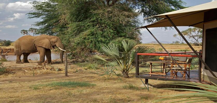 best-camps-in-samburu